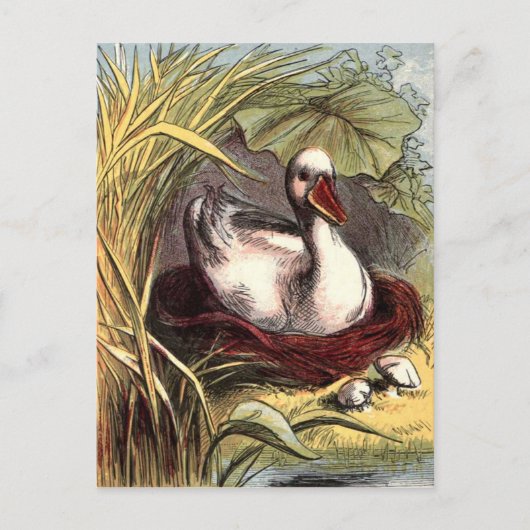 Antike Ente Postkarte (Vorderseite)