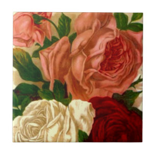 Antike Erbstück-Rosen Antike Alte Blush-Rose-Kache Fliese