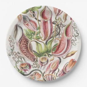 Antike Ernst Haeckel Botanische Kannenpflanze Pappteller