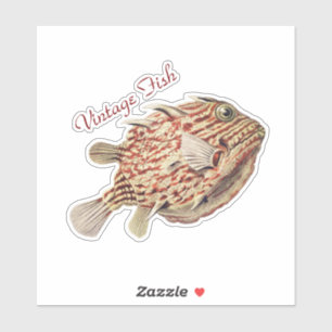 Antike Ernst Haeckel nautische rote Kofferfisch-Ku Aufkleber
