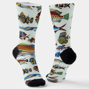 Antike farbenfrohe exotische Fische Naturgeschicht Socken