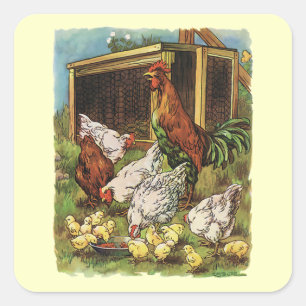 Antike Farmtiere, Hahn, Hühner, Küken Quadratischer Aufkleber