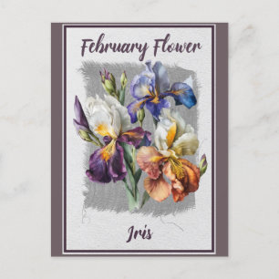 Antike Februar-Blumen-Iris-Blüten Postkarte