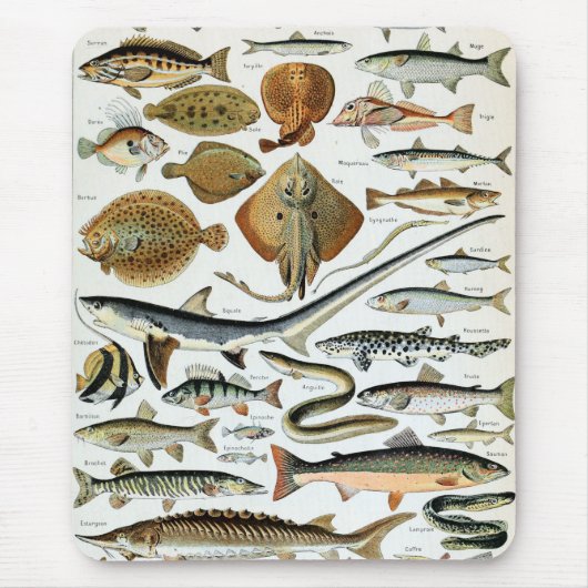 Antike Fische der Welt Mousepad (Vorne)