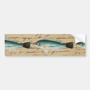 Antike Fischkunst Handschrifttext Cremefarbener Fi Autoaufkleber