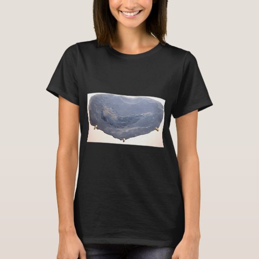 Antike Fischzeichnung T-Shirt (Vorderseite)