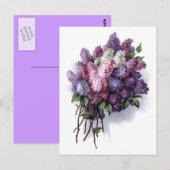 Antike Flieder Postkarte (Vorne/Hinten)