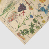 Antike Flora und Früchte Seidenpapier (Ausschnitt)
