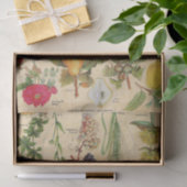 Antike Flora und Früchte Seidenpapier (Geschenk)