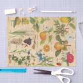 Antike Flora und Früchte Seidenpapier (Handwerk)
