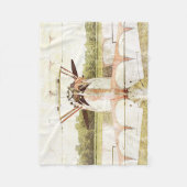 Antike Flugzeug-Doppeldecker-Fleece-Decke Fleecedecke (Vorderseite)