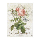 Antike französische botanische Rosen-Postkarte