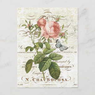 Antike französische botanische Rosen-Postkarte Postkarte