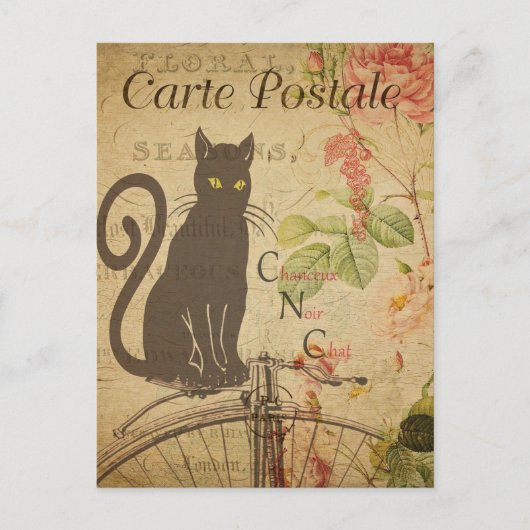 Antike Französische Küche Postkarte (Vorderseite)