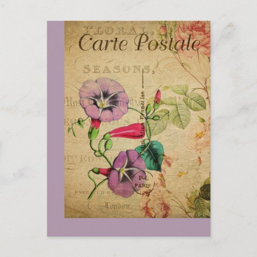 Antike französische Postkarte mit botanischem Moti (Vorderseite)