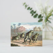 Antike Frösche Postkarte (Stehend Vorderseite)
