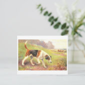 Antike Fuchsjagdpostkarte Postkarte (Stehend Vorderseite)