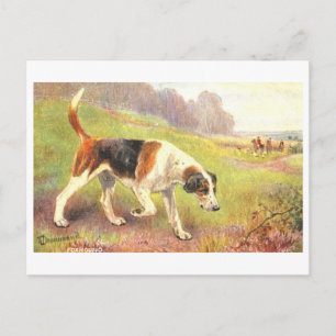 Antike Fuchsjagdpostkarte Postkarte