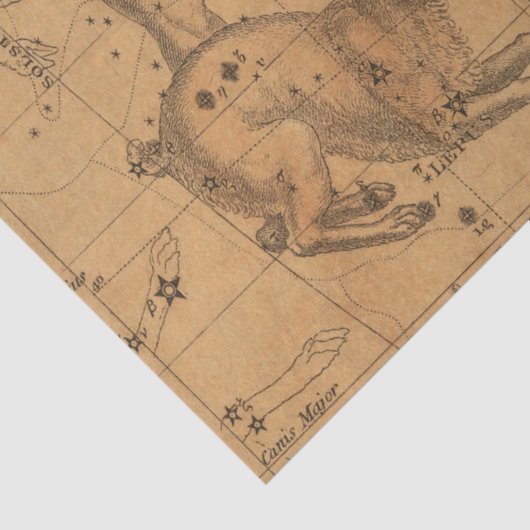 Antike Galaxy Karte Design 10 Seidenpapier (Detail)