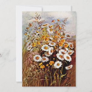 Antike Gänseblümchen Butterblume Wildblumen Feiertagskarte