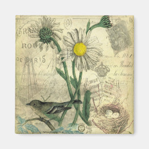 Antike Gänseblümchen Magnet