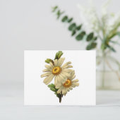 Antike Gänseblümchen Postkarte (Stehend Vorderseite)