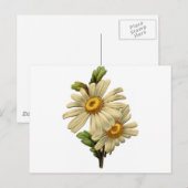 Antike Gänseblümchen Postkarte (Vorne/Hinten)