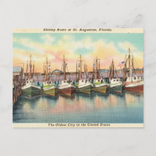 Antike Garnelenboote, St. Augustine Florida Postkarte