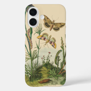Antike Garteninsekten, Schmetterlinge, Raupen iPhone 16 Hülle