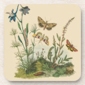 Antike Garteninsekten, Schmetterlinge, Raupen Getränkeuntersetzer (Vorderseite)