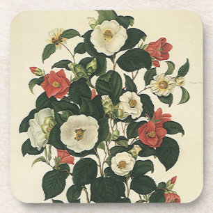 Antike Gartenrosen Blumen im Vintage-Blumenstil Untersetzer