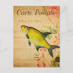 Antike Gelbe Brassen-Fisch-Blumen-Französisch Postkarte