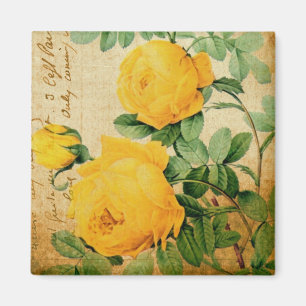 Antike gelbe Rosen Magnet