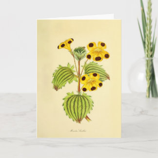 Antike gelbe und rote Blumenillustration Karte
