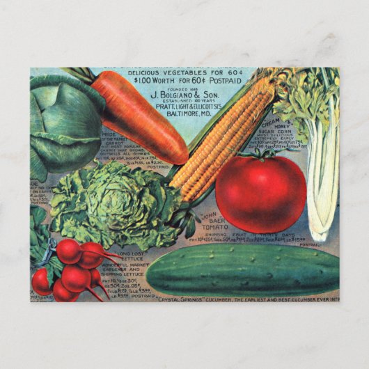Antike Gemüse Postkarte (Vorderseite)
