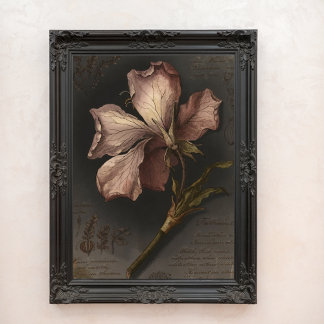 Antike gothische botanische Blumenstudienkunst Fotodruck