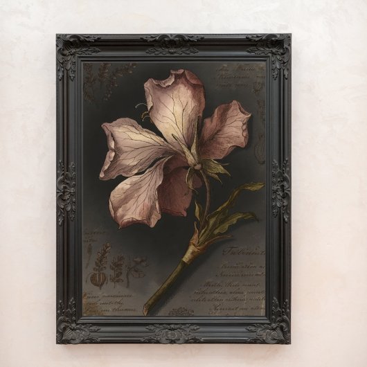 Antike gothische botanische Blumenstudienkunst Fotodruck