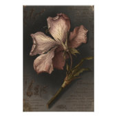 Antike gothische botanische Blumenstudienkunst Fotodruck (Vorne)