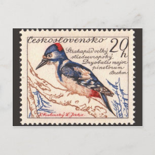 Antike gravierte Stempel-Postkarte Postkarte