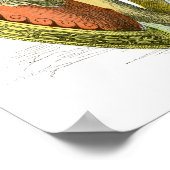 Antike griechische Krieger Poster (Ecke)