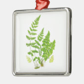 Antike grüne Natur-botanische Kunst des Silbernes Ornament (Links)