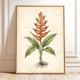 Antike Heliconia-Botanik-Leinwanddruck Poster