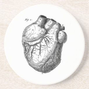 Antike Herz Retro Cardiac Anatomie Herzen 19. Jahr Sandstein Untersetzer