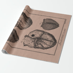Antike Herz-Retro-Herzanatomie-Herzen aus dem 19. Geschenkpapier