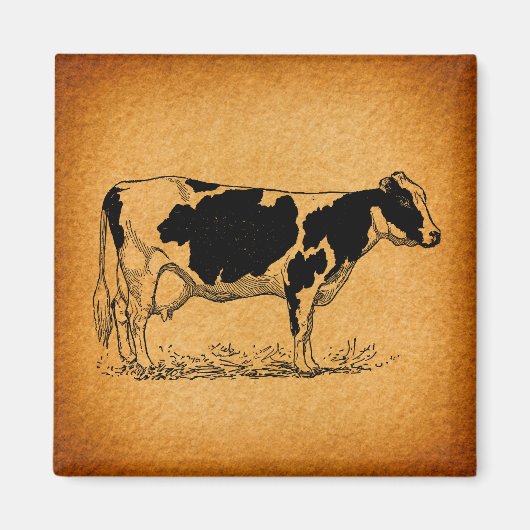 Antike Holstein Kuhfarm Illustration Magnet (Vorne)