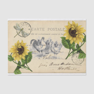 Antike Hühner Sonnenblume Postkarte Tissue-Papier Seidenpapier