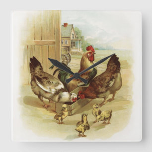 Antike Hühnerfarm-Kunst Quadratische Wanduhr