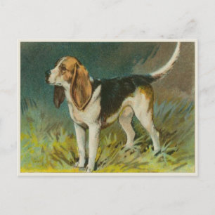 Antike Hundepostkarte mit süßem Beagle Postkarte