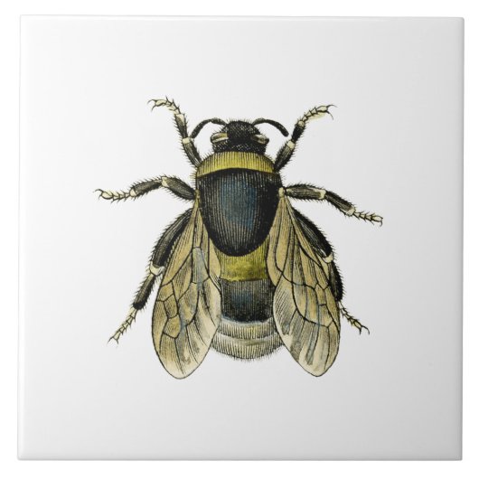 Antike Illustration der Biene Fliese (Vorderseite)