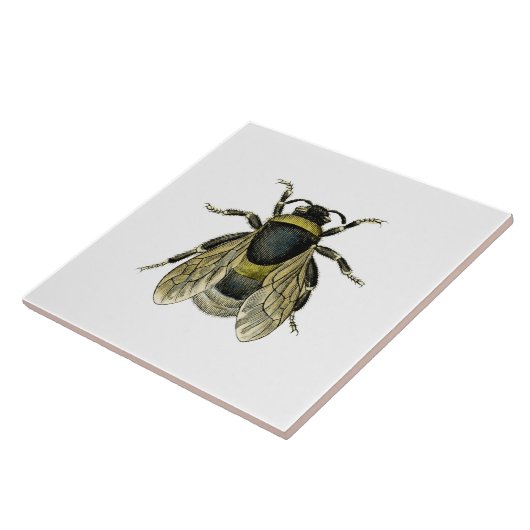 Antike Illustration der Biene Fliese (Seite)